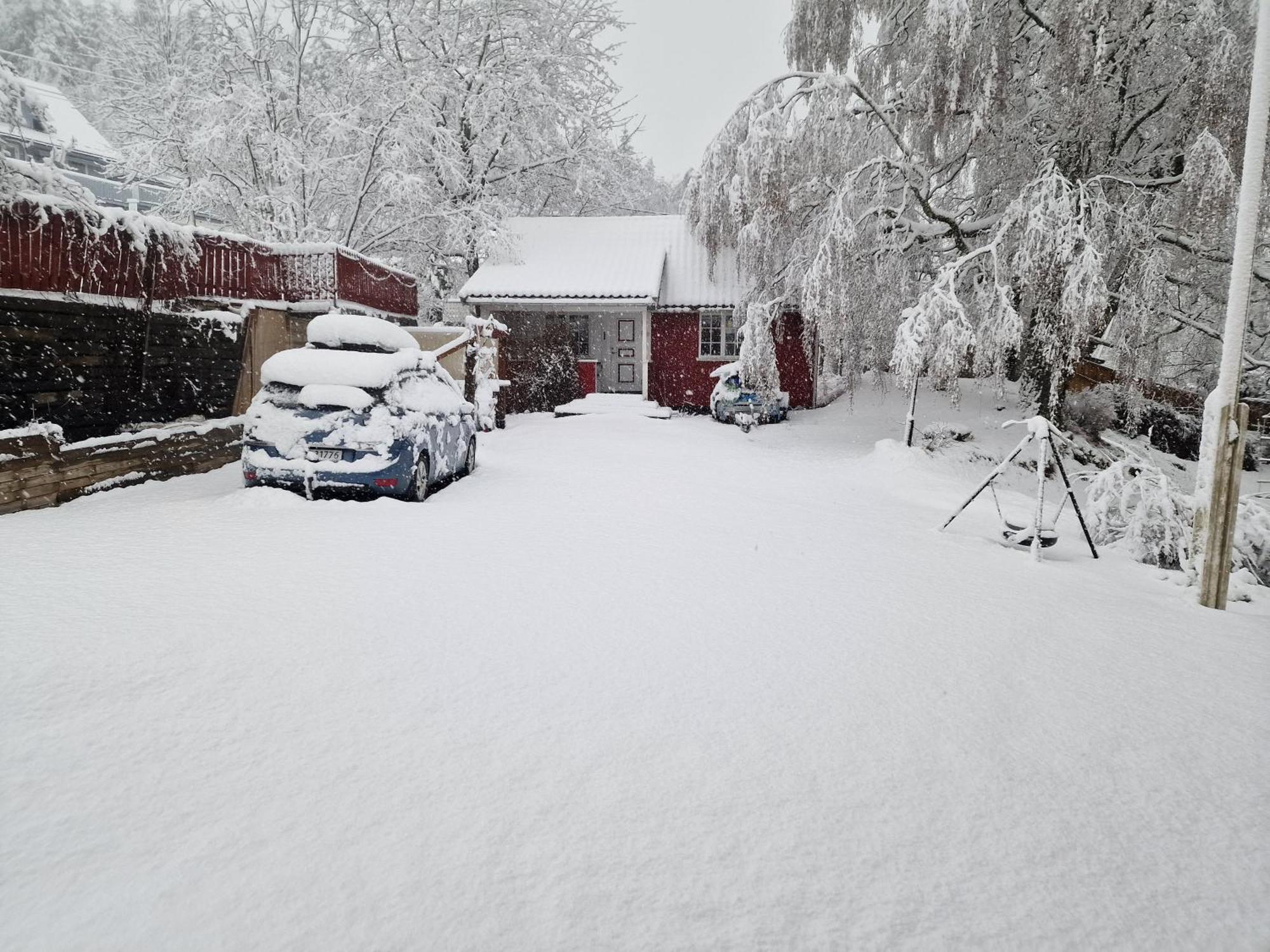 Villa Koselig Anneks I Heggedal! Asker Exterior foto